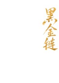 黑金链（1v1）封面